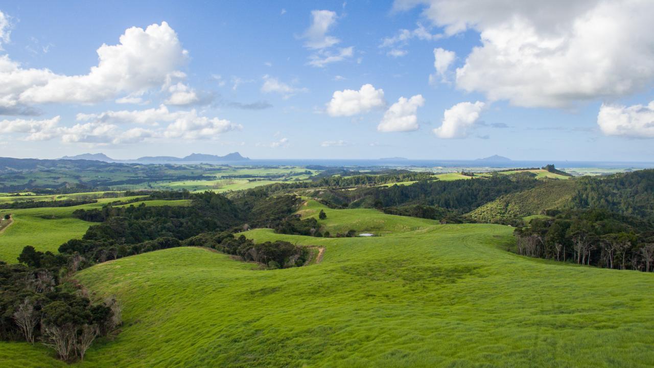 Lot 2 & 5  Walters Road, Waipu