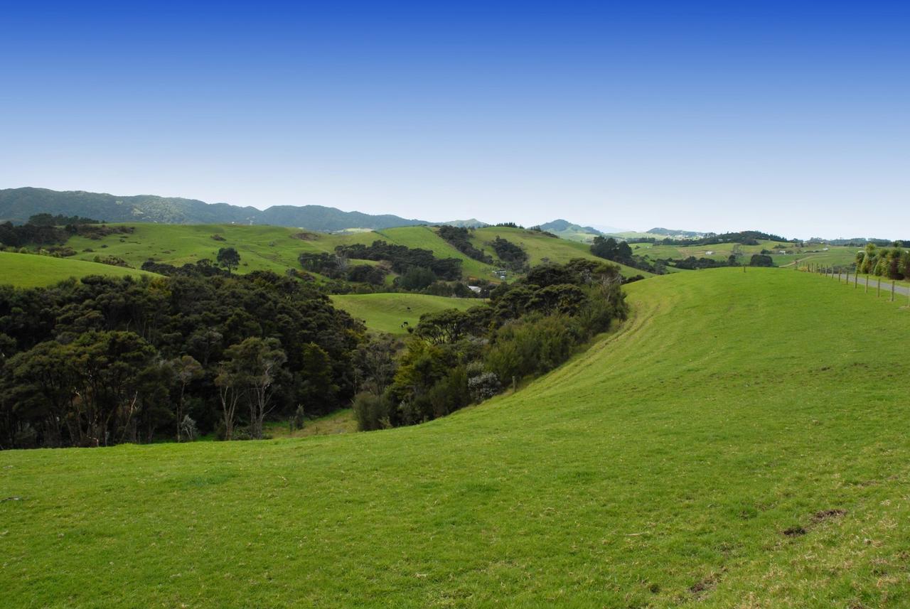 Residential Asking Price NZ$230,000: Lot 8, Tara Crest, Rua Road ...