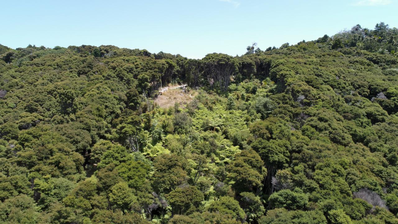 248 Rosalie Bay Road, Great Barrier Island