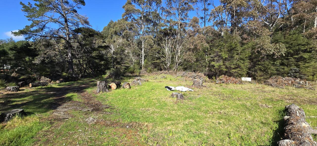 280 Hector Sanderson Road, Great Barrier Island