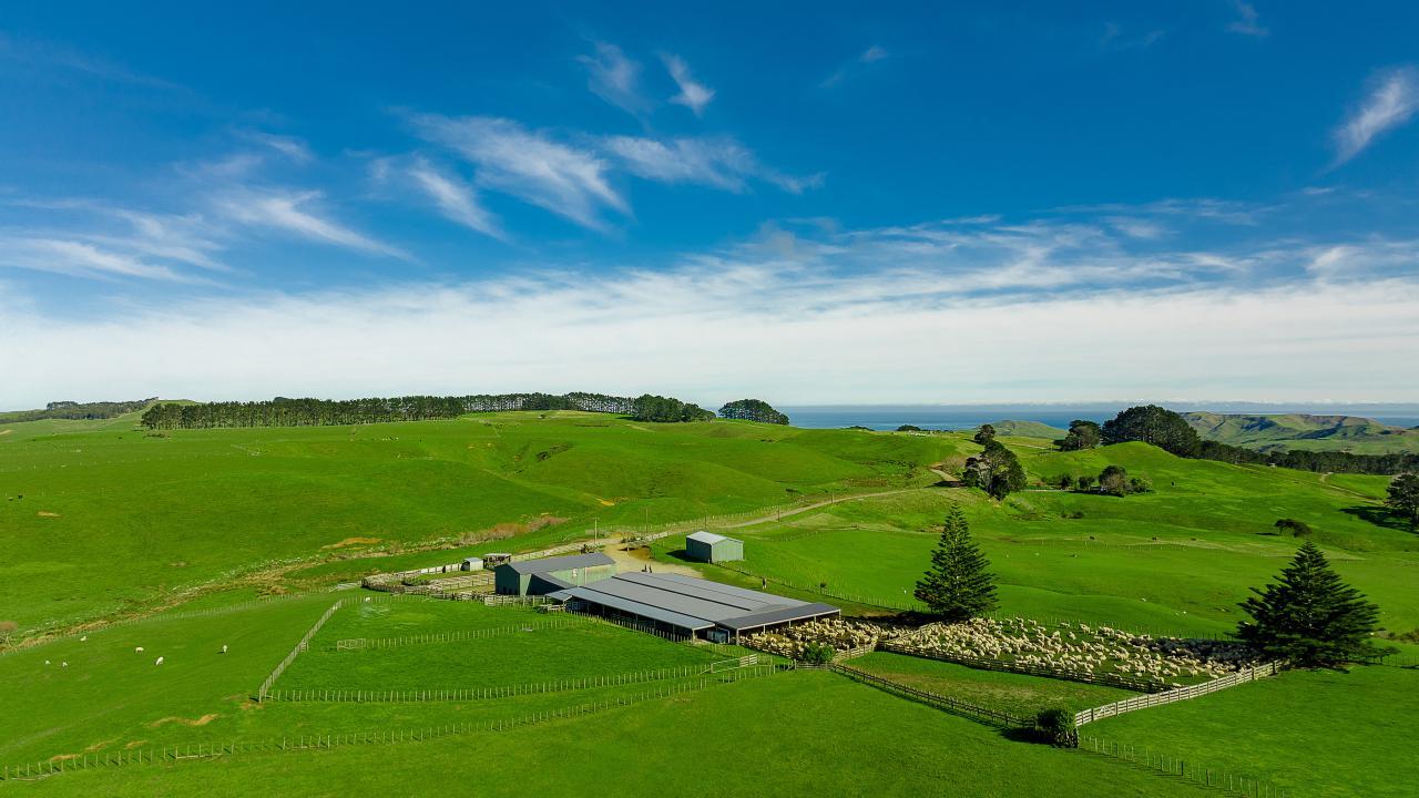 379 Kokonga East Road, Waikaretu