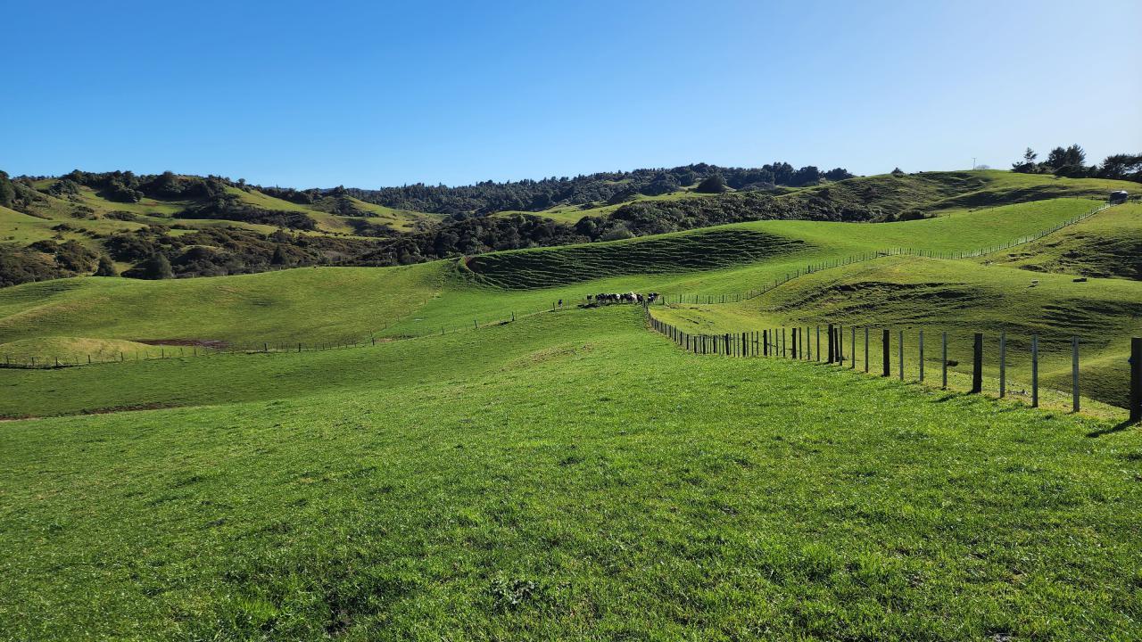  Te Anga Road, Waitomo