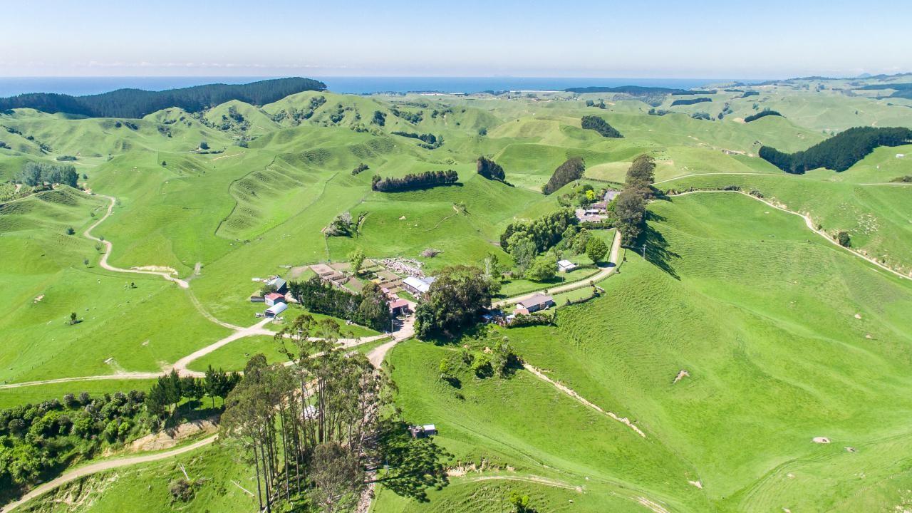 166 Airstrip Road, Pikowai