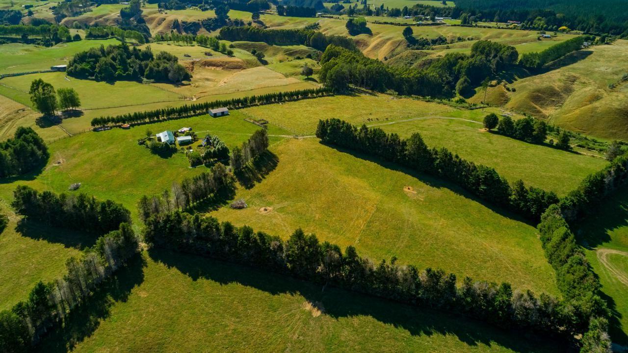 Off the grid, off the grind - 1798 Te Matai Road, Te Puke | Success ...