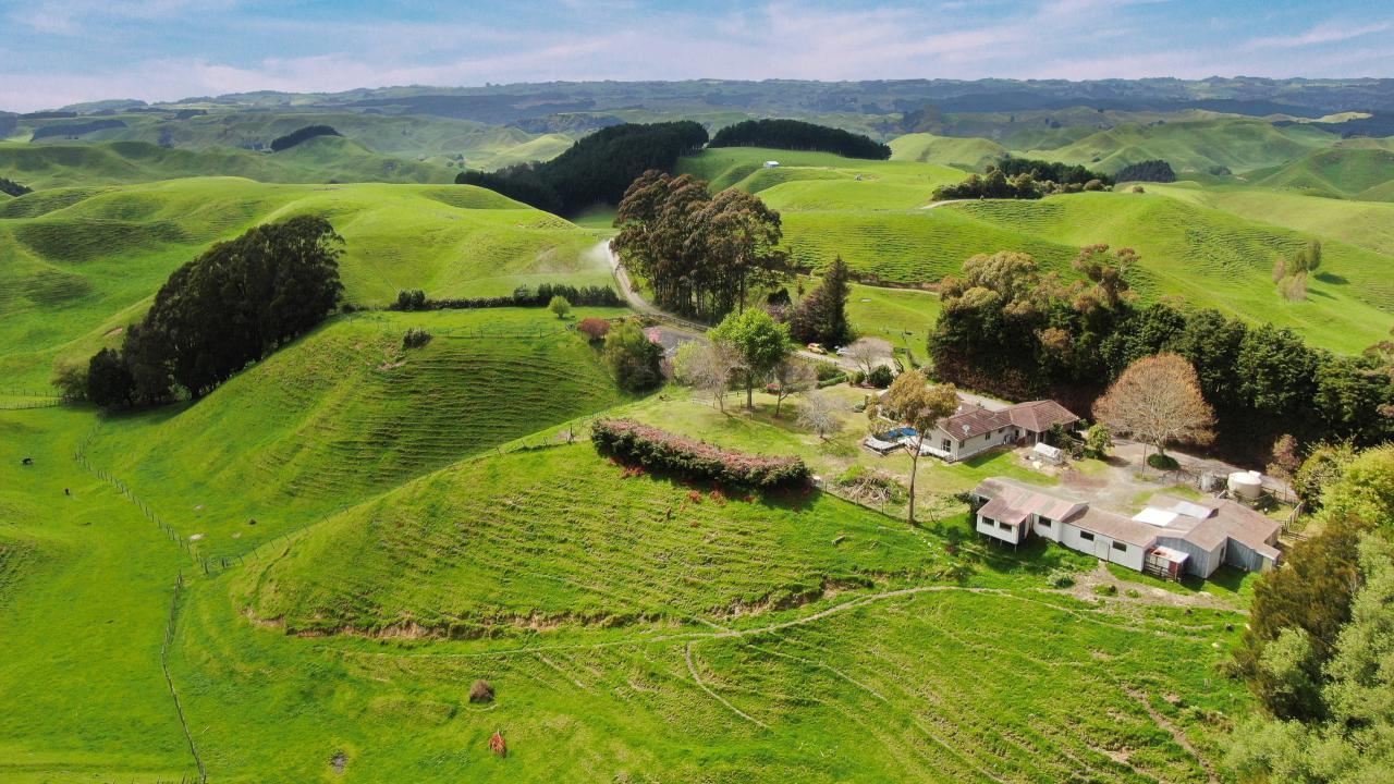 166 Airstrip Road, Pikowai