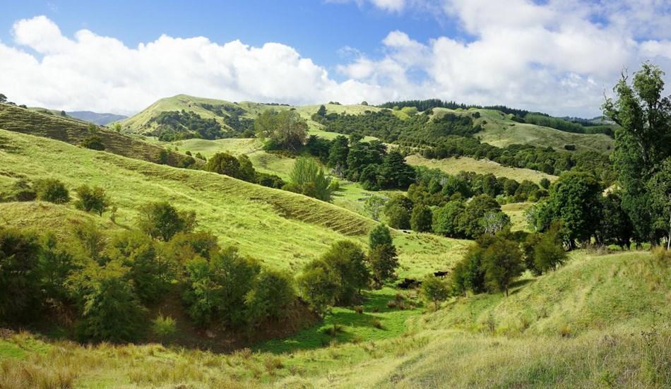 Waitahoata Station - Contour, Scale and Location - 418 Te Hau Road ...