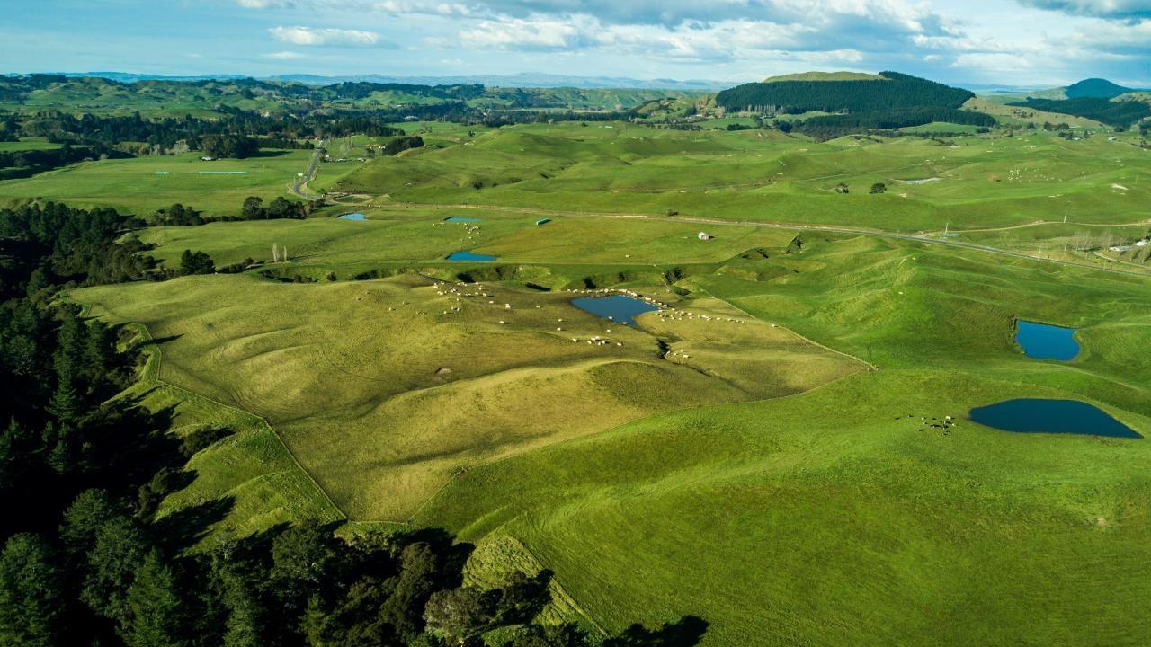 Premium Hawke's Bay - Location, Scale, Contour - 2152 Puketitiri Road ...