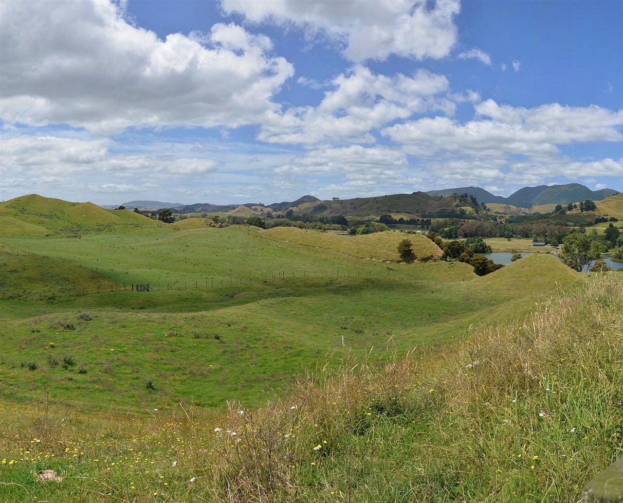 Rural Auction: 890 Poutakataka Road, Rotorua Surrounds, Rotorua | Bayleys