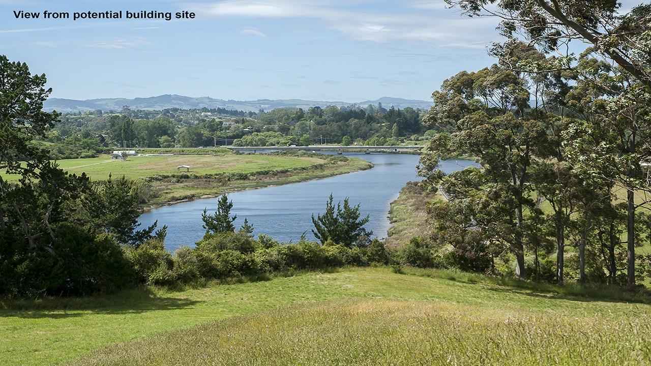 What An Opportunity - Te Puna Station Road, Te Puna | Success Realty ...