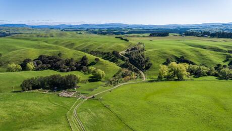 Tim Wynne-Lewis - Bayleys Havelock North | Bayleys Real Estate