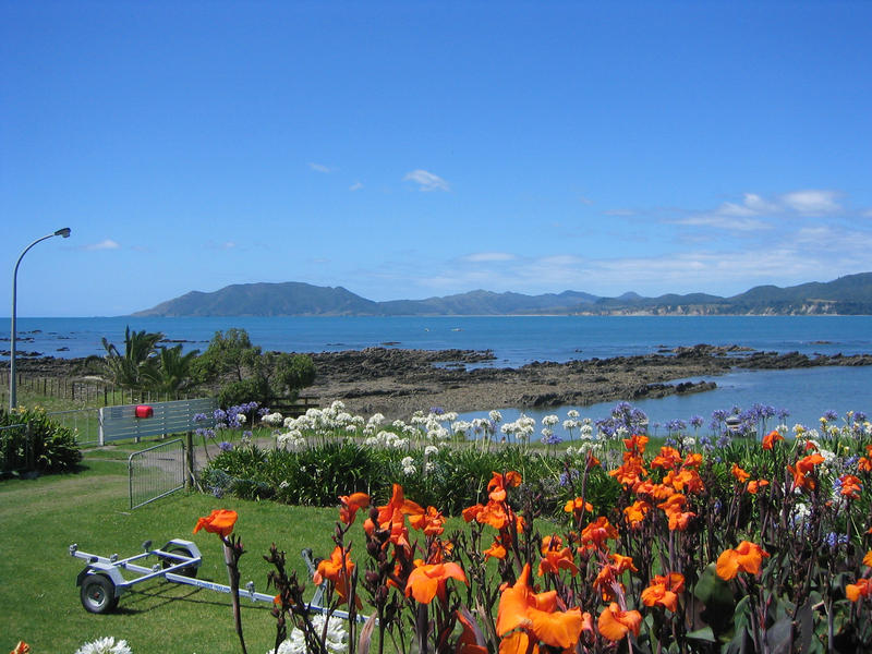 Residential Auction , Gisborne Coastal, Gisborne Bayleys