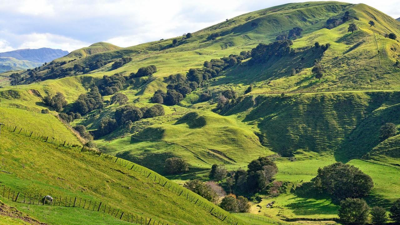 349 HECTARES OF STRONG EARLY COUNTRY - Kainga Station, Otoko, Gisborne ...