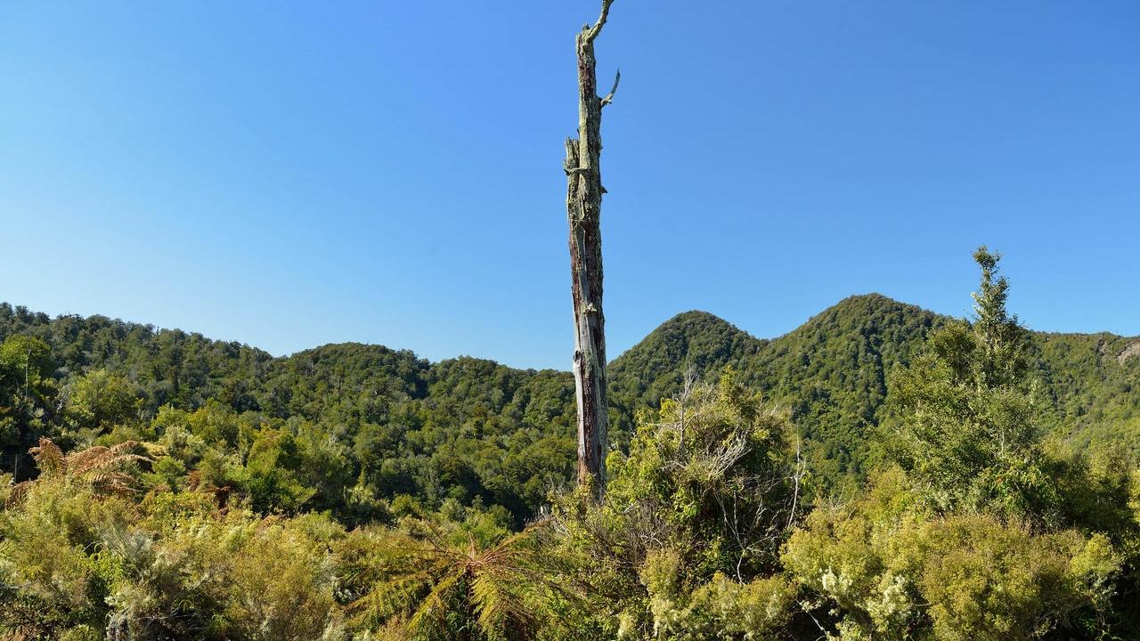 1180 Moanui Road, Matawai