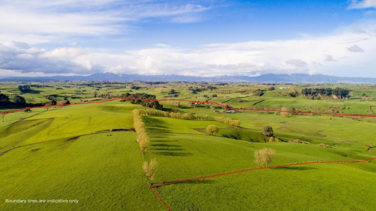 Entry level Waikato farming - Matamata | Bayleys Realty Group