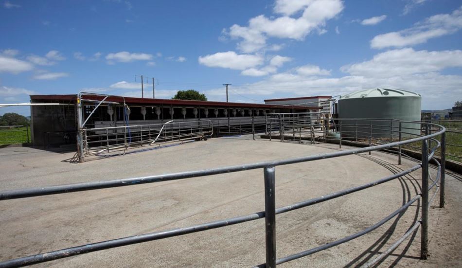 Dependable 75 Hectare Dairy Farm 26 Waipapa Road, Wharepapa South, Te